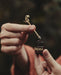 Person holding a small bottle labeled 'Burema' with a dropper and a dried flower.
