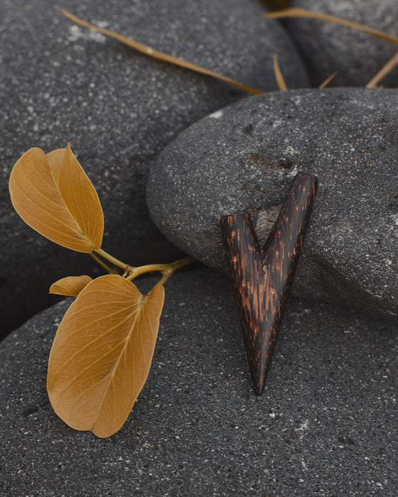 Leaves and a wooden arrowhead on dark stone surface