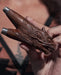 kuripe dragon