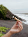 Hand holding a small object on a beach with ocean and rocks in the background