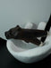 Dark brown animal-shaped object on a white stand against a light gray background