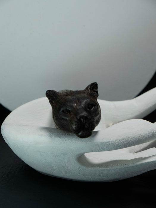 Black cat figurine inside a white ceramic bowl on a black background