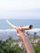 Hand holding a gold-colored horn against a scenic ocean backdrop