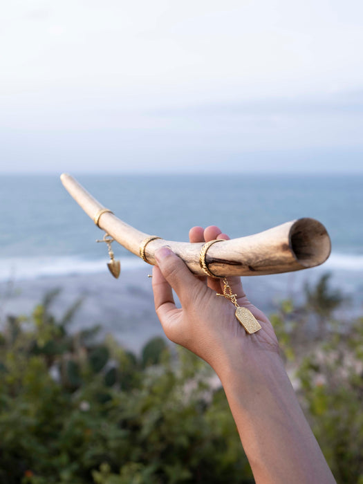 Hand holding a large shell with ocean and sky in the background