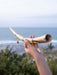 Hand holding a large shell with ocean and sky in the background