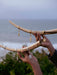 Jewelry on a branch with a blurred natural background