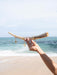 Hand holding a decorative shell with earrings against a beach backdrop