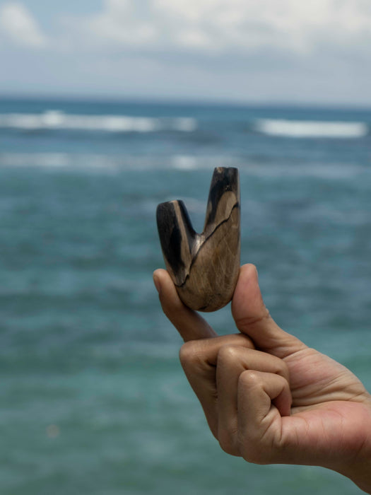 Hand holding a shell against a backdrop of ocean waves
