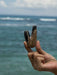 Hand holding a shell against a backdrop of ocean waves