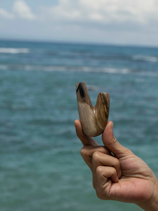Hand holding a wooden tool against a backdrop of ocean waves