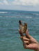 Hand holding a wooden tool against a backdrop of ocean waves