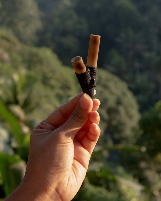 Hand holding two cylindrical objects against a blurred natural background