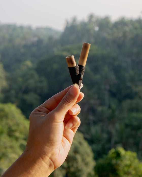 Hand holding a small wooden object against a blurred natural background