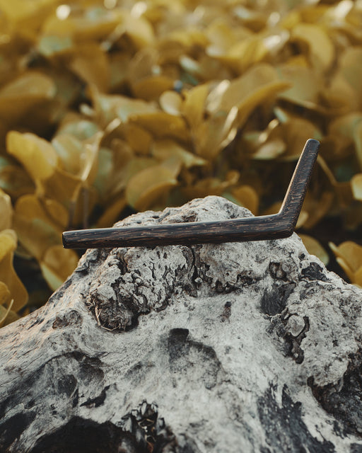 Nail on a rock with seaweed in the background