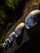 Close-up of metallic oval stones on a dark surface with blurred greenery in the background