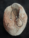 Necklace with a pendant on a textured stone surface