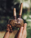 Sacred Ayahuasca vine kuripe pipe adorned with rudraksha and goldstone, a handcrafted symbol for hape snuff rituals, nestled in natural greenery.