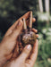 Sacred Ayahuasca vine kuripe pipe adorned with rudraksha and goldstone, a handcrafted symbol for hape snuff rituals, nestled in natural greenery.