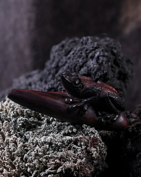 Wooden carved kuripe frog pipe, a high-quality shamanic applicator for hape snuff, combining art with herbal medicine in a unique handcrafted gift.