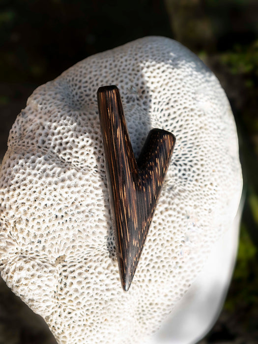 Brown shell-like object on a textured white surface