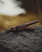 Wooden clip with horse design on a textured surface