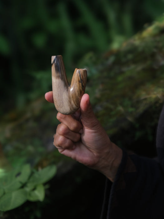 Hand holding a large animal tooth against a natural background