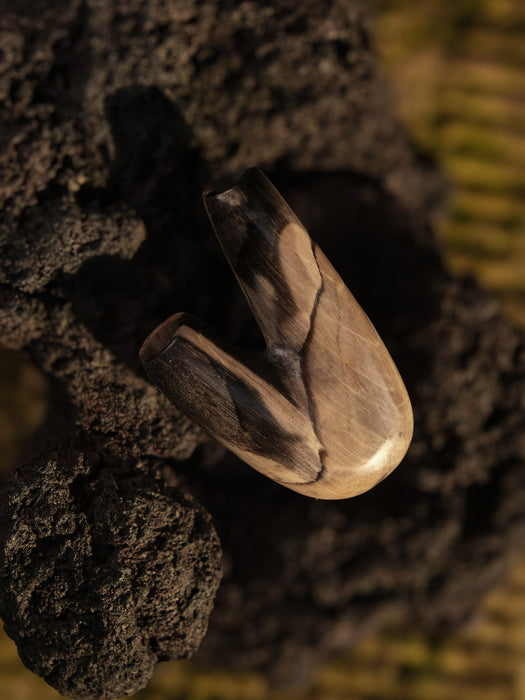 Wooden spoon embedded in a tree trunk with a blurred natural background