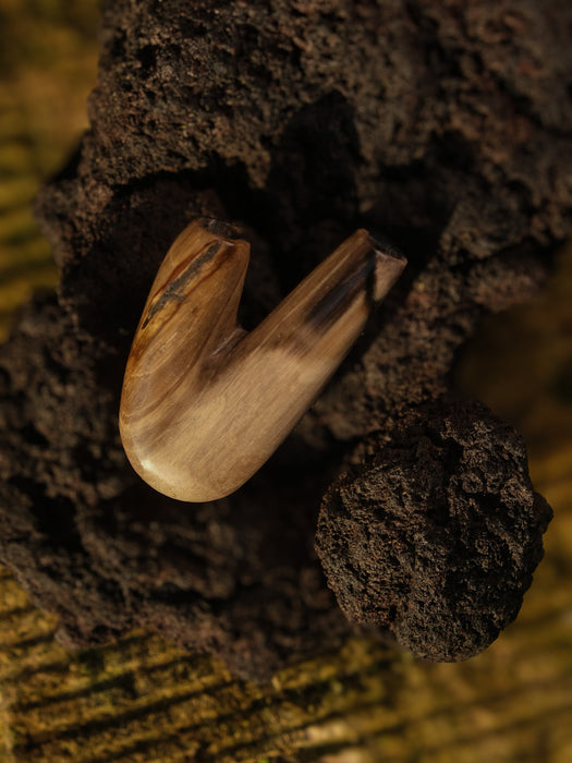 Wooden tool embedded in dark soil