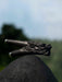 Bronze dragon head sculpture on a rock with blurred greenery in the background