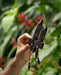 Transformer Tepi Kuripe from Rose Wood, perfect for hape applications, deepening your connection to herbal medicine.