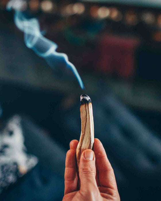 PaloSanto incese High sticks