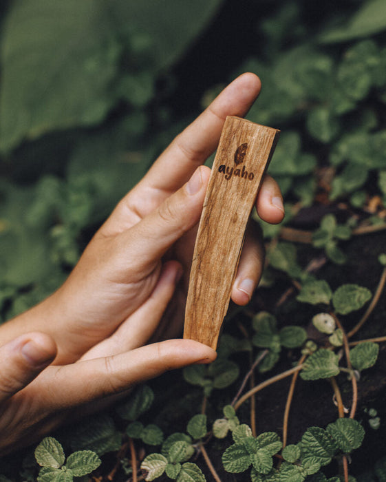 PaloSanto incese High sticks