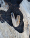 Warm hues of the Kuripe pipe made from petrified wood, inviting and comforting.
