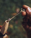 Held aloft, a premium metal Spiritual Powder Spoon intricately crafted for precise use in shamanic rituals and as a decorative element for kuripe pipes
