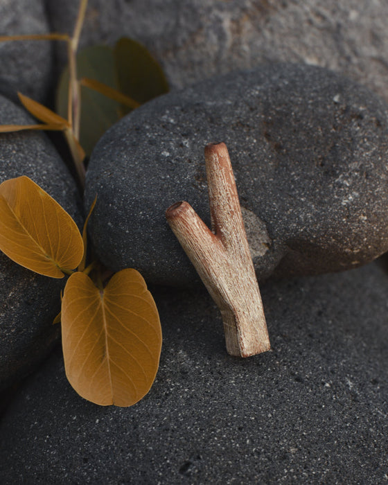 Teakwood kuripe alongside hape snuff, illustrating its use in traditional shamanic practices