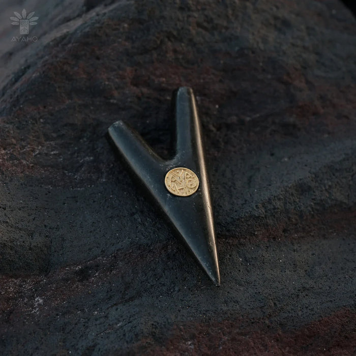Black metal clip with gold coin on a dark textured background