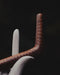 Close-up of a deer antler with a dark background