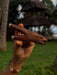 Hand holding a wooden object with a blurred natural background