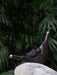 Wooden pipe with a face design on a textured surface with green foliage in the background
