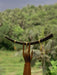 Gold earrings hanging from a wooden branch with a blurred green forest background
