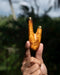 Hand holding a wooden archery bow nock against a blurred natural background