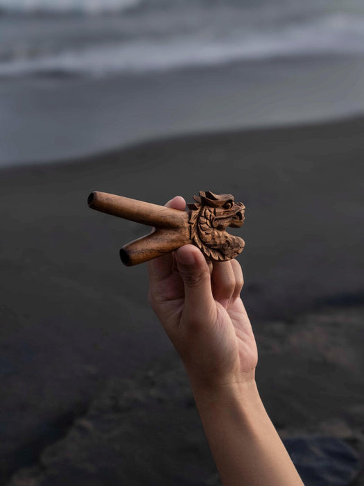 Hand holding a piece of driftwood on a beach