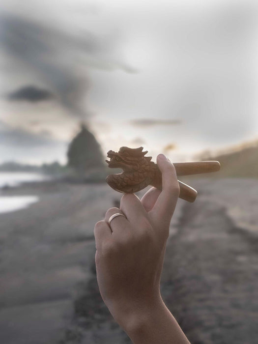 Hand holding a shell with a blurred beach background