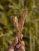 Hand holding a wooden conch shell against a blurred natural background