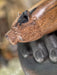 Wooden handle with a carved animal head design, held by a black gloved hand.