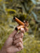 Hand holding a small wooden object against a blurred natural background