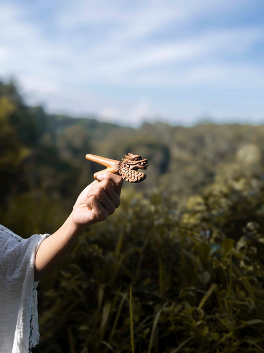 Hand holding a small wooden object against a natural background with trees and blue sky.