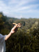 Hand holding a small wooden object against a natural background with trees and blue sky.