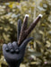 Decorative hand with intricately designed fingers against a blurred natural background