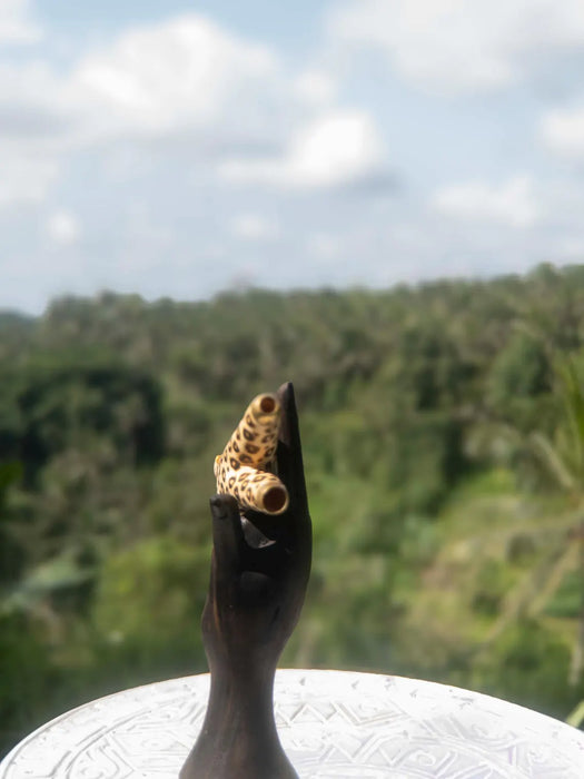 Handcrafted Ethnic Wooden Jaguar Pipe
